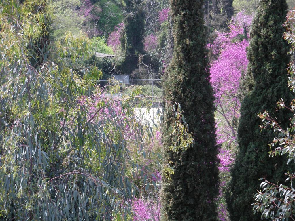 Skevoulis Apartament Benitses (Corfu)