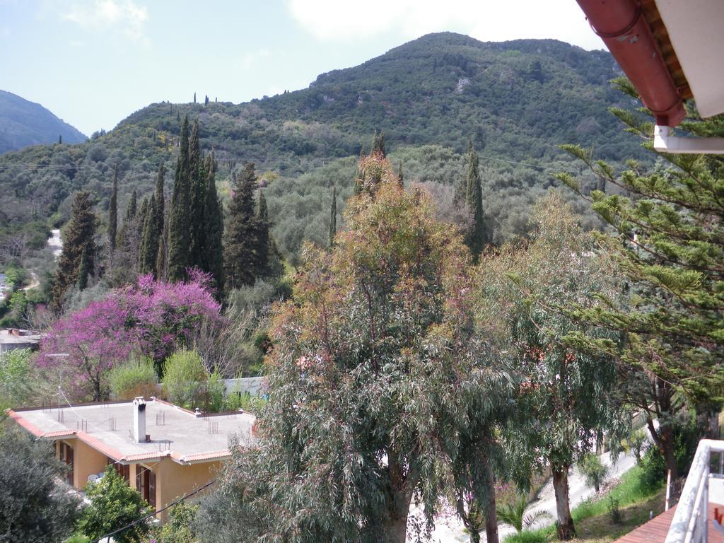Apartament Skevoulis *