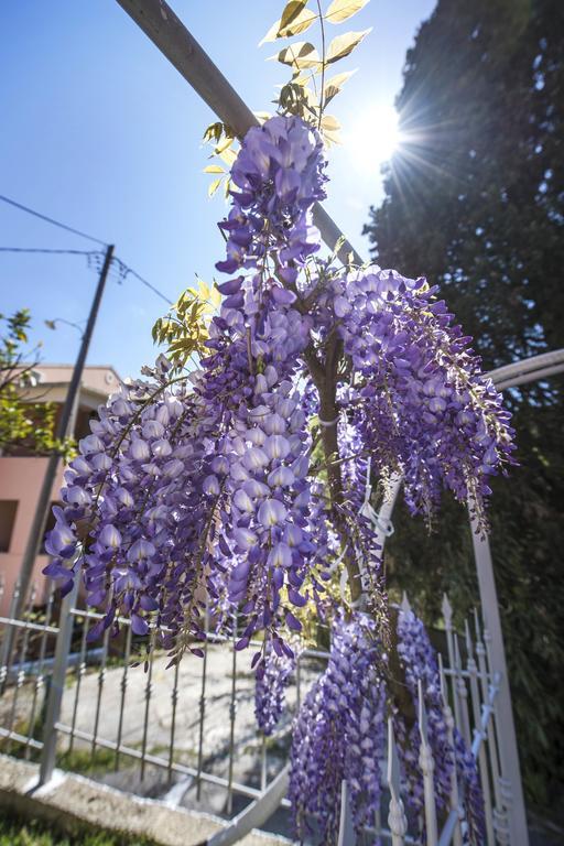 Skevoulis Benitses (Corfu)