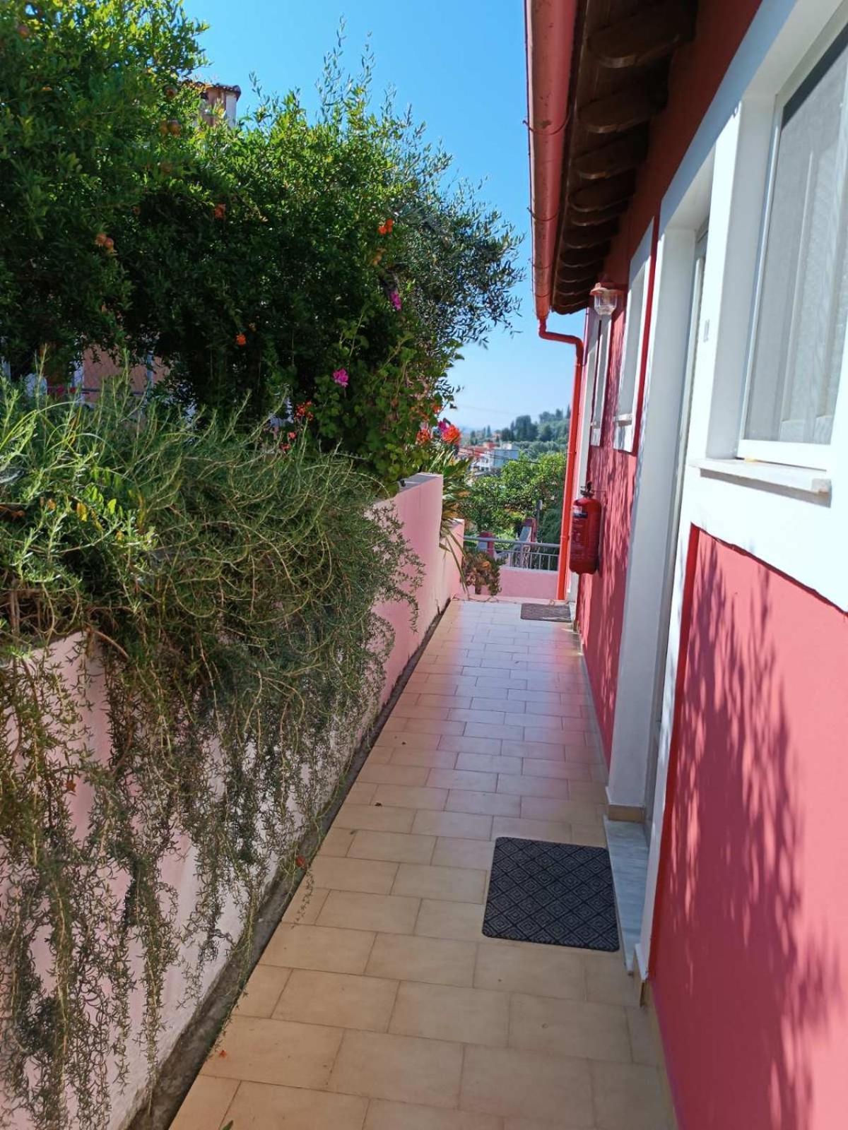 Apartament Skevoulis *