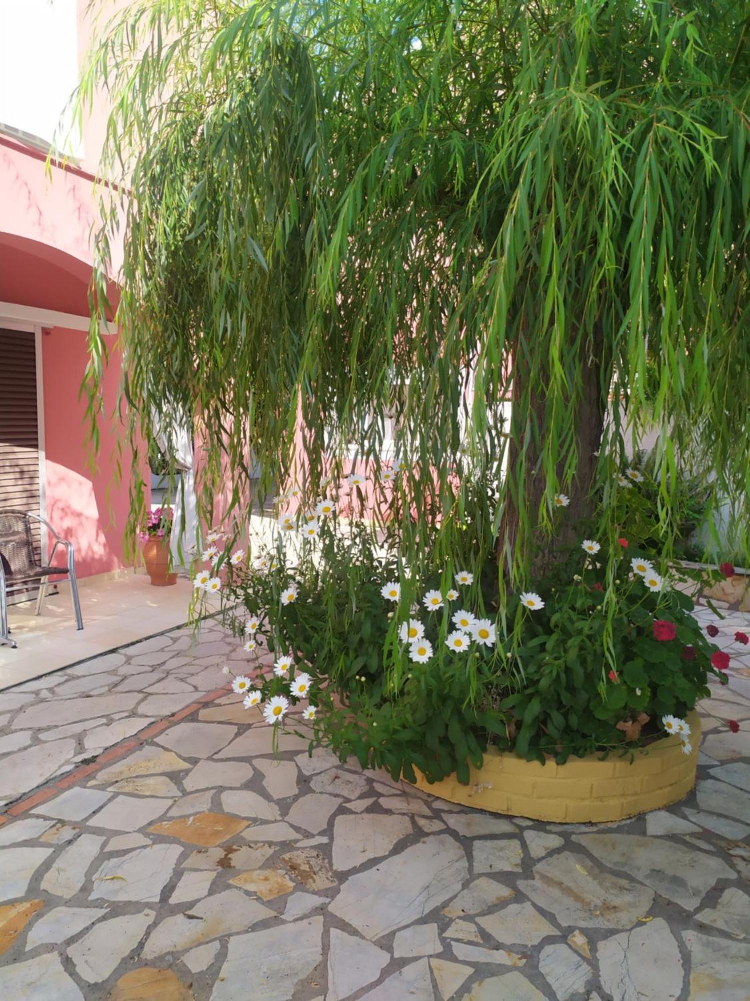 Apartament Skevoulis