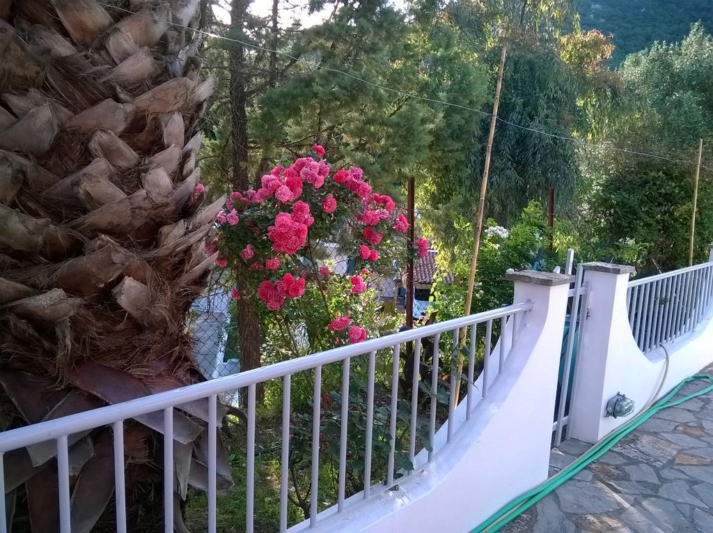 Apartament Skevoulis